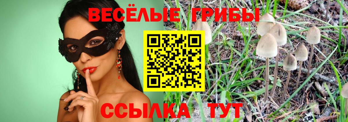 Галлюциногенные грибы Cubensis  Галлюциногенные грибы GOLDEN TEACHER  Большой Камень  Вход с VPN 