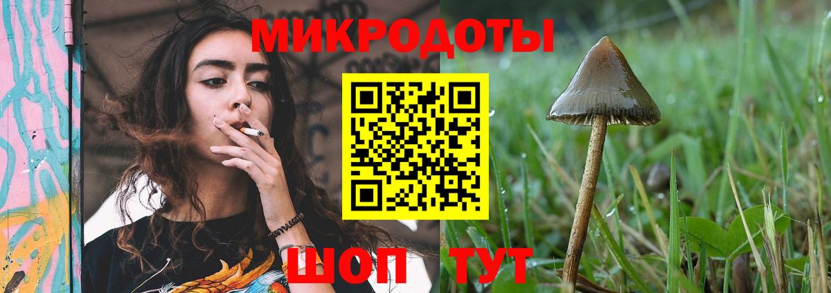 Галлюциногенные грибы прущие грибы Большой Камень